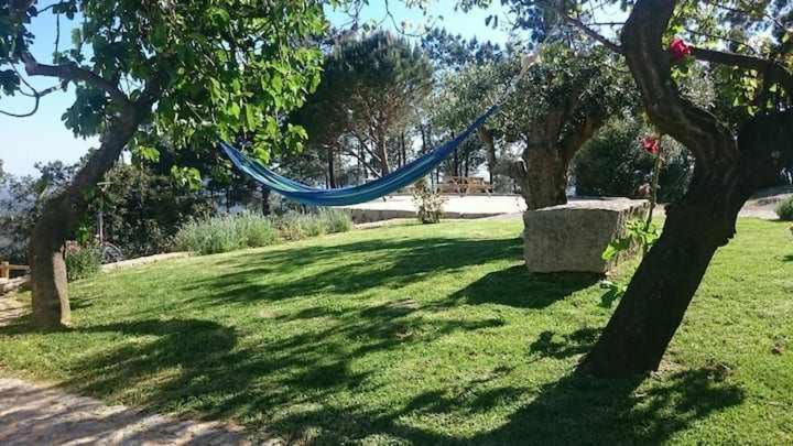 モンシケ Quinta Da Idalinaヴィラ エクステリア 写真