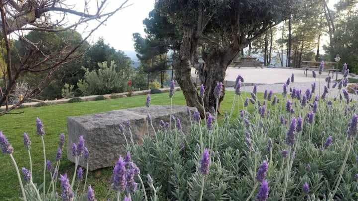 モンシケ Quinta Da Idalinaヴィラ エクステリア 写真