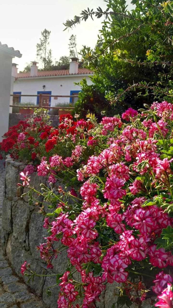 モンシケ Quinta Da Idalinaヴィラ エクステリア 写真