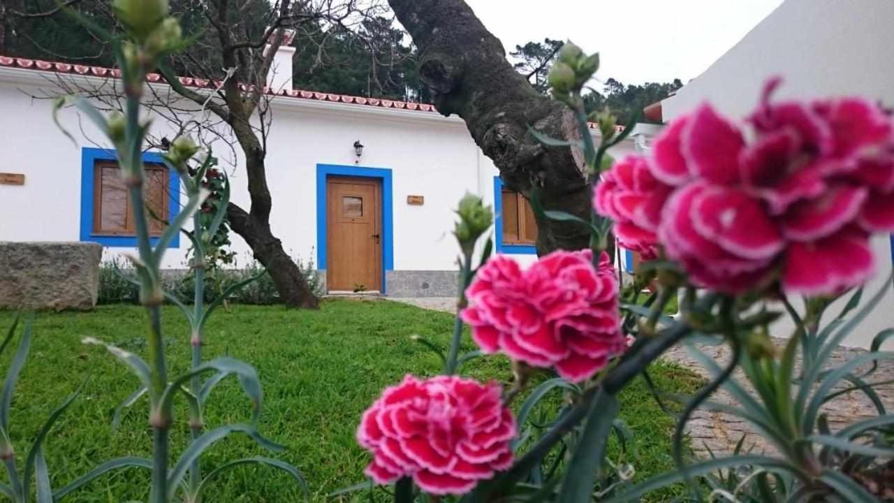 モンシケ Quinta Da Idalinaヴィラ エクステリア 写真